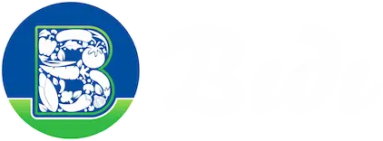 Bıdı GmbH Bıdı GmbH